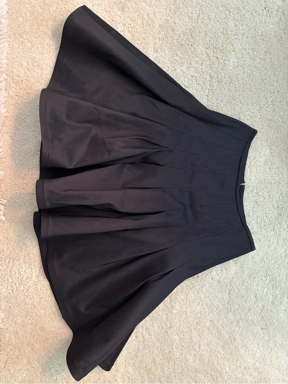 Tadashi Shoji Black A-Line Pleated Skirt